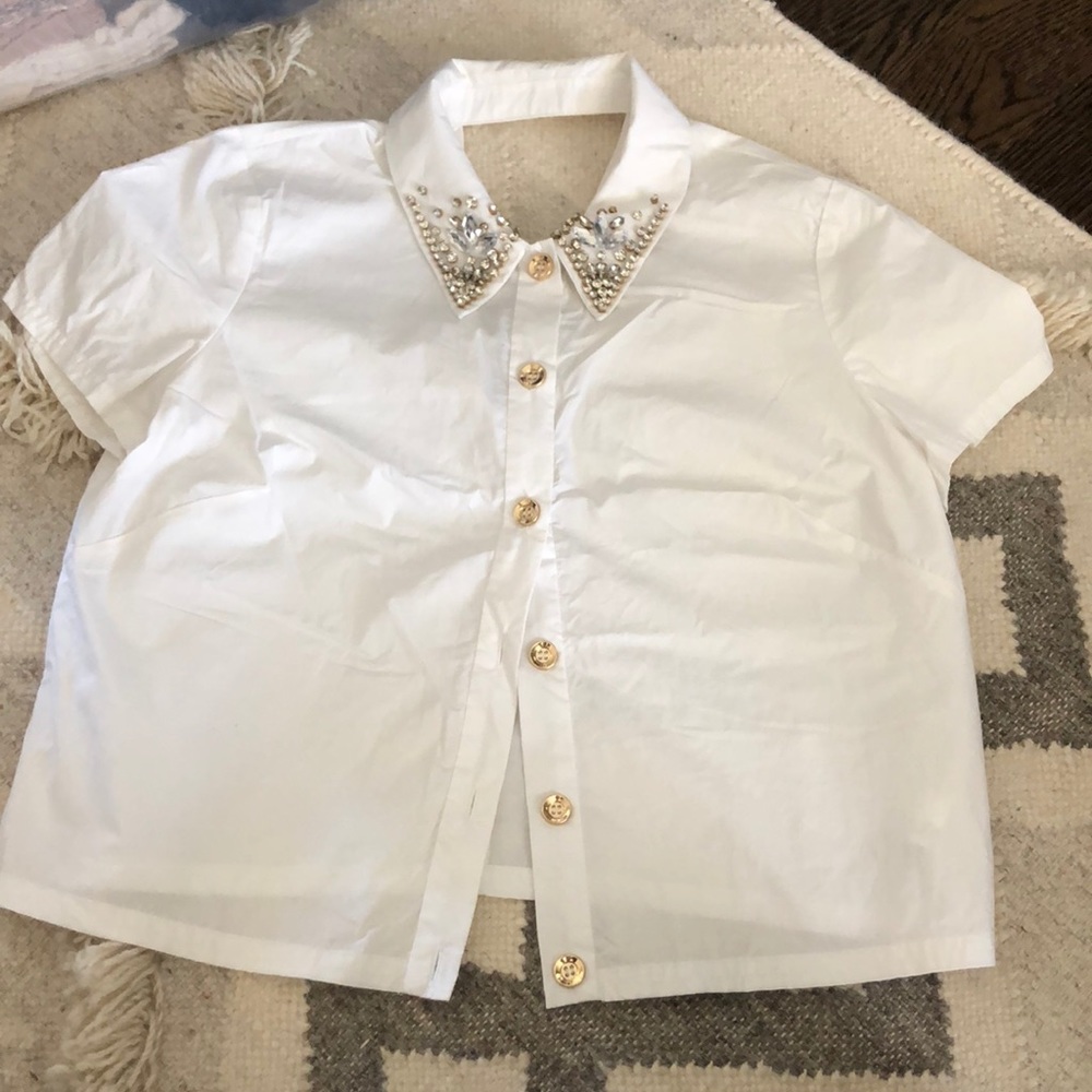 Bebe blinged collar